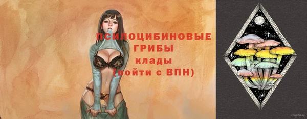 герыч Новозыбков