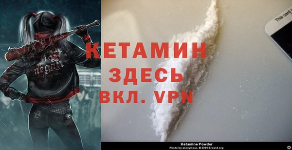 прущие грибы Болотное