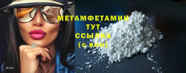 прущие грибы Болотное