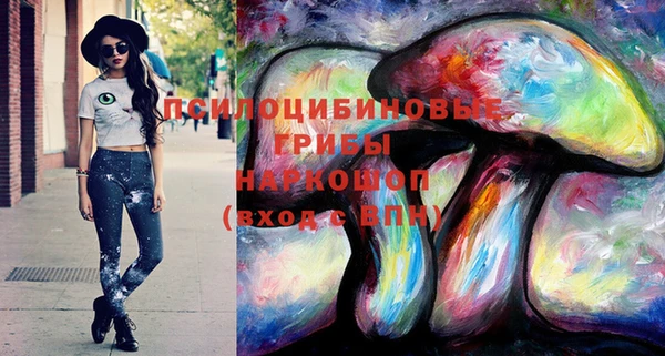 амфетамин Новодвинск
