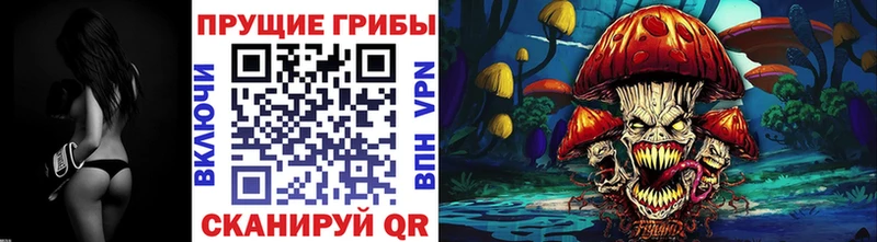 Псилоцибиновые грибы мухоморы  Порхов 